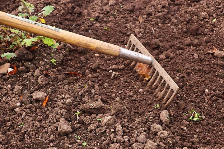 terreno agricolo