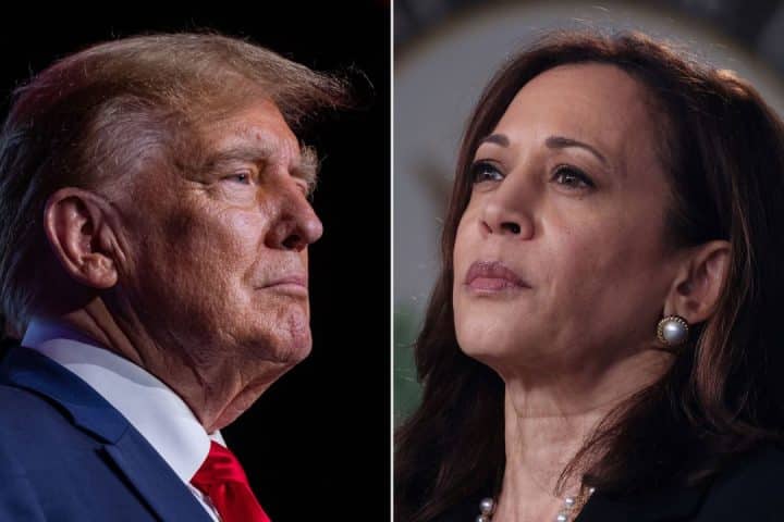 trump vs Harris