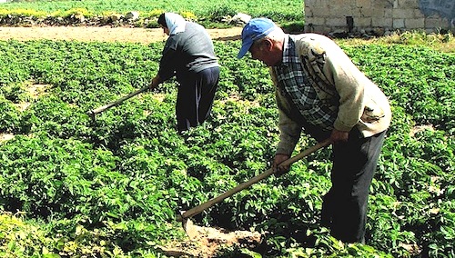 lavoratori agricoli