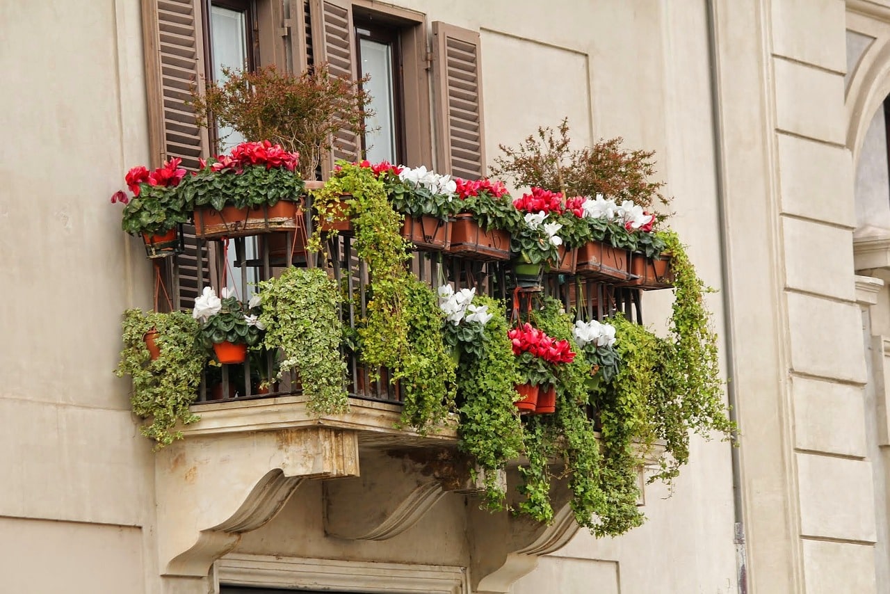 bonus verde balcone