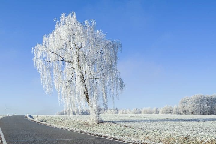 Regole a Natale anche per spostamenti, vendita skipass e vacanze sulla neve