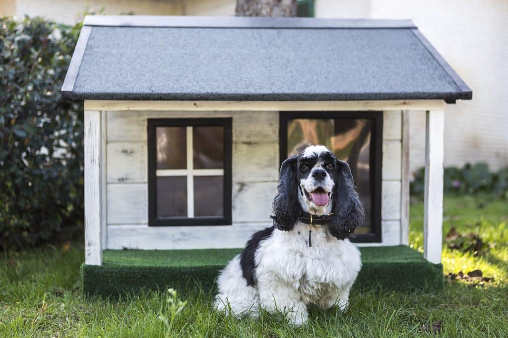 detrazione spese veterinarie, acquisto del cane