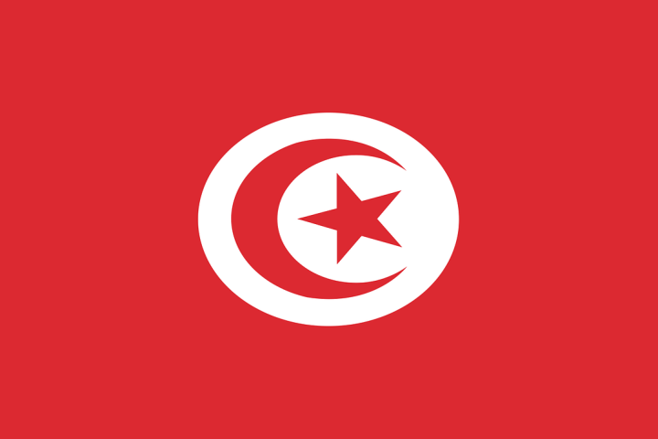 bandiera tunisia