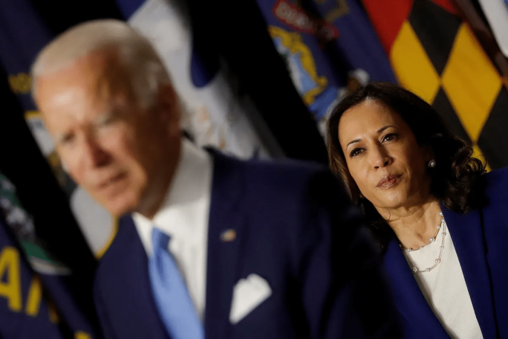 Kamala Harris succederà a Biden?