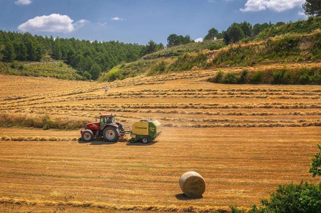 Settore agroalimentare: 2 miliardi di euro dal Sostegni-bis