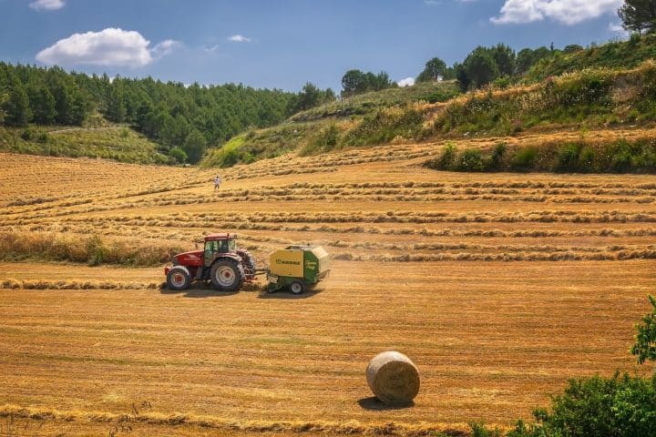 Settore agroalimentare: 2 miliardi di euro dal Sostegni-bis