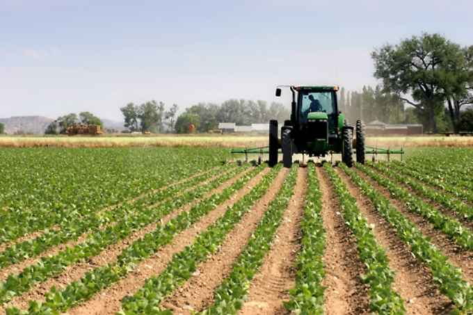 ILIA terreni agricoli (e non), ecco tutti quelli esenti