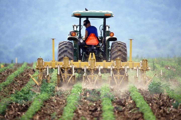 lavoratori agricoli