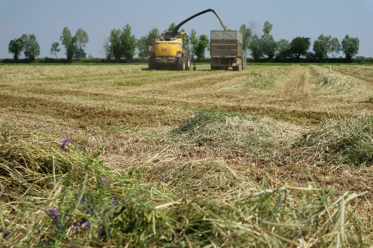 Ripresa economica a rischio con il boom dei prezzi