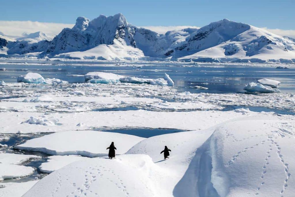 Scoperta di grosse riserve di petrolio in Antartico