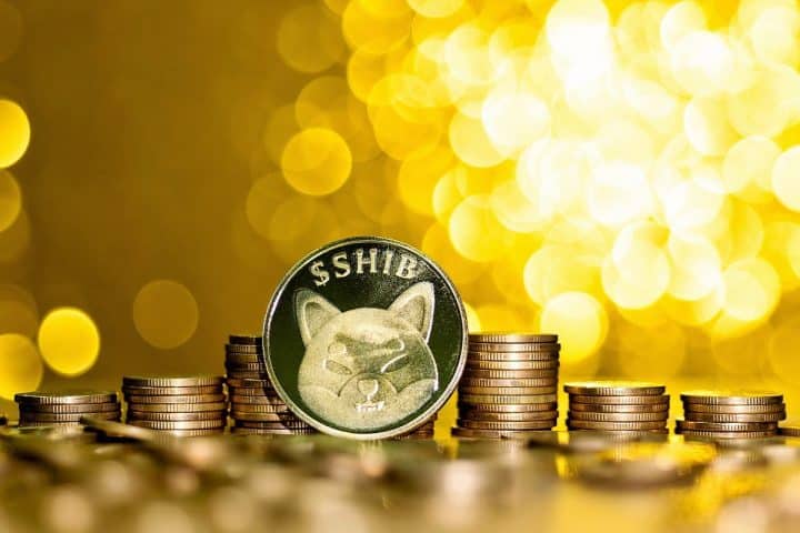 Investire in Shiba Inu