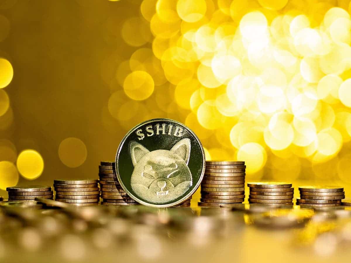 Investire in Shiba Inu