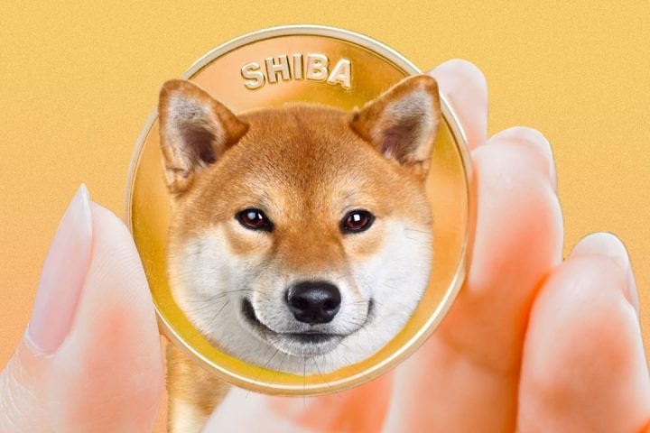 Diventare miliardari con Shiba Inu?