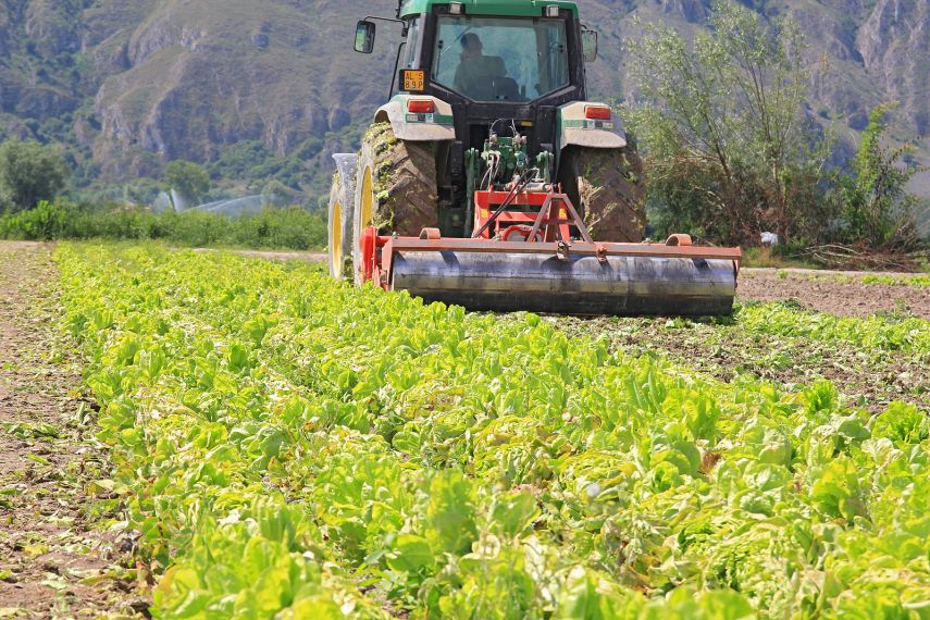 fondi terreno agricolo e rudere