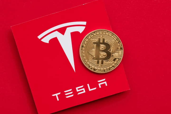 Due asset vincenti con la vittoria di Trump: Bitcoin e azioni Tesla