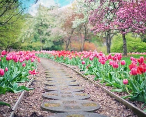 pensione primavera